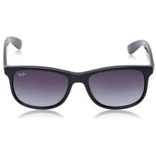 Ray-Ban RB4202-6018G/55 Erkek Güneş Gözlüğü