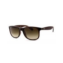 Rayban RB4202-607313-55 Unisex Güneş Gözlüğü