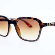 Rayban RB4343M F603/13 52-20 Unisex Güneş Gözlüğü