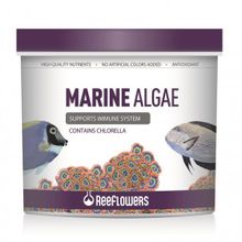 Reeflowers 250 ml Marine Algae Tuzlu Su Balık Yemi