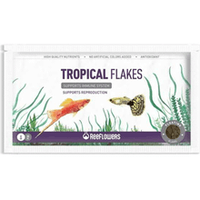Reeflowers 6 gr Zarf Tropical Flakes Pul Balık Yemi