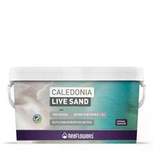 Reeflowers Caledonia Live Sand Gold 18 kg Akvaryum Kumu