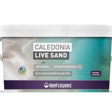 Reeflowers Caledonia Live Sand Mor 18 kg Akvaryum Kumu