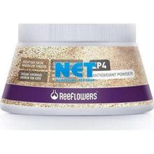 Reeflowers Zp4 500 ml Antioxidant Powder Akvaryum Katkısı