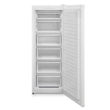 Regal CD 62221 196 lt Derin Dondurucu