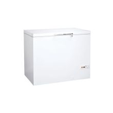 Regal SD 3011 275 lt Sandık Tipi Derin Dondurucu