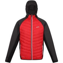 Regatta Andreson VIII Hybrid Kırmızı Erkek Ceket