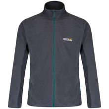 Regatta Ashton Gri Erkek Polar