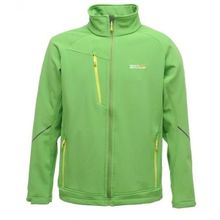 Regatta Davies Softshell Yeşil Erkek Ceket