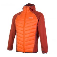 Regatta Kırmızı Andreson II Hybrid Erkek Ceket