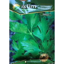 Rem Seeds 100gr Toros Maydanozu Tohumu