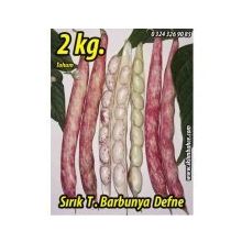 Rem Seeds 2kg Sırık Defne Barbunya Tohumu