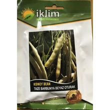 Rem Seeds 50gr Karlı Beyaz Oturak Barbunya Tohumu