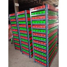 Rema Krt300 15 Katlı Ceviz Kurutma Sehpası