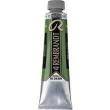 Rembrandt 40 ml 2 No:623 Sap Green Yağlı Boya