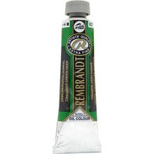 Rembrandt 40 ml Cinnabar Green Dp Yağlı Boya