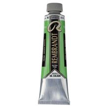 Rembrandt 40 ml Seri 3 Permanent Green Medium 614 Yağlı Boya
