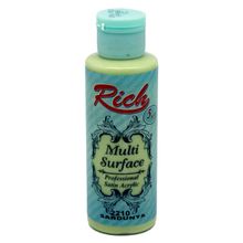 Rich Multi Surface 120 cc Sardunya Akrilik Boya