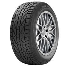 Riken 205/50 R17 93V XL Snow Kış Lastiği
