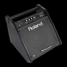 Roland PM-100 80 Watt Davul Monitörü