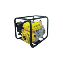 Rother RTR020 Benzinli Su Pompası