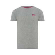 Routefield RFTYCE23 Tyce Gri Erkek T-shirt