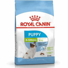 Royal 3 kg Canin XSmall Puppy Köpek Maması