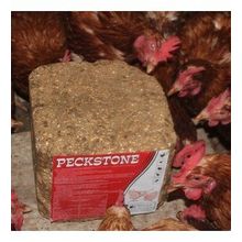 Royal Avian Peckstone 4 kg Kanatlı Hayvanlar İçin Gagalama Taşı