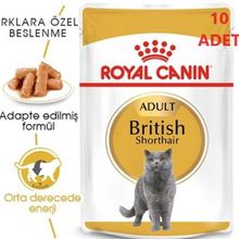 Royal Canin 10x85 gr Pouch British Yetişkin Kedi Konservesi
