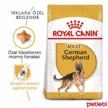 Royal Canin 11 kg German Shepherd Adult Köpek Maması