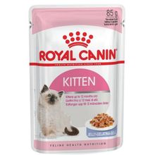 Royal Canin 12x85 gr Kitten In Jelly Yavru Kedi Konserve Maması