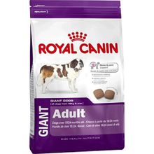 Royal Canin 15 kg Giant Adult Yetişkin Köpek Maması