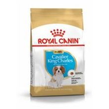 Royal Canin 1,5 KG Puppy Cavalier King Charles Yavru Köpek Maması