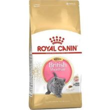 Royal Canin 2 kg British Shorthair Yavru Kuru Kedi Maması