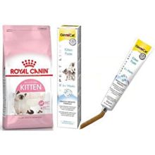 Royal Canin 2 kg Kitten Yavru Kedi Kuru Maması 2 kg + Gimcat Kitten Paste 50 gr