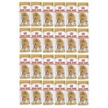 Royal Canin 24x85 gr Adult Poodle Caniche Tüy Sağlığı Destekleyici Yetişkin Köpek Konservesi