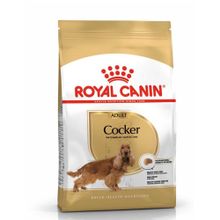 Royal Canin 3 kg Cocker Adult Özel Irk Yetişkin Köpek Maması