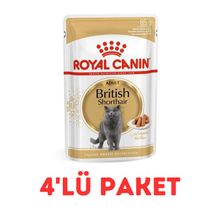 Royal Canin 4x85 gr British Shorthair Kedi Konservesi