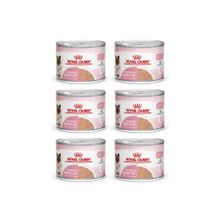 Royal Canin 6x195 gr Mother Babycat Anne Hamile ve Yavru Kediler Için Konserve Kıyılmış Pate Yaş Mama