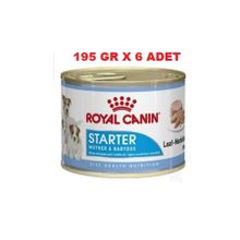 Royal Canin 6x195 gr Starter Mother Babydog Konserve