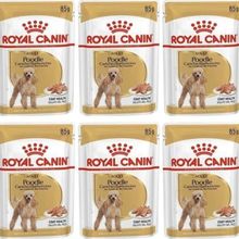 Royal Canin 6x85 gr Adult İnstinctive Jöleli Yaş Köpek Maması