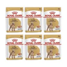Royal Canin 6x85 gr Adult Poodle Caniche Tüy Sağlığı Destekleyici Yetişkin Köpek Konservesi
