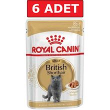 Royal Canin 6x85 gr Pouch British Shorthair Irkına Özel Yaş Kedi Maması