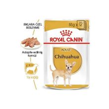 Royal Canin 85 gr Chihuahua Adult Yaş Köpek Maması