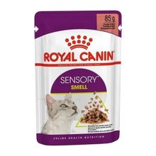 Royal Canin 85 gr Sensory Smell Yetişkin Kedi Konservesi
