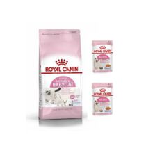 Royal Canin Anne & Yavru 4 kg Kedi Maması + 2 Adet Kitten Yaş Mama