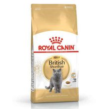 Royal Canin British Shorthair 2 kg Irk Kedi Maması + Temizlik Mendili