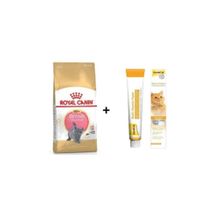 Royal Canin British Shorthair 2 kg Yavru Kedi Maması + Gimcat 100 gr Multivitamin