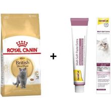 Royal Canin British Shorthair 2 kg Yetişkin Kedi Maması+Gimcat 100 gr Malt