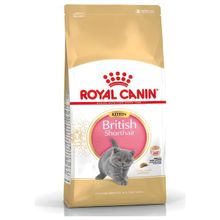 Royal Canin British Shorthair Yavru Özel İçerik 2 kg Kuru Kedi Maması